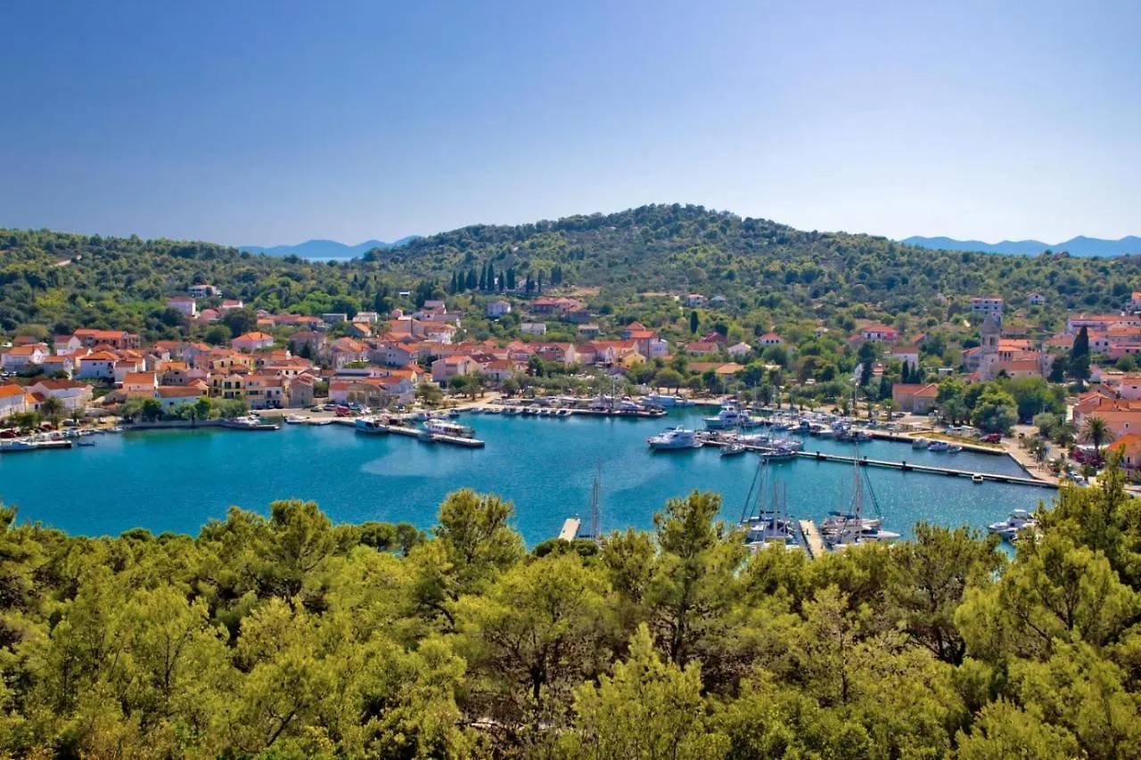Apartment In Preko With Sea View, Terrace, Air Conditioning, Wi-Fi 0*,  Croatia