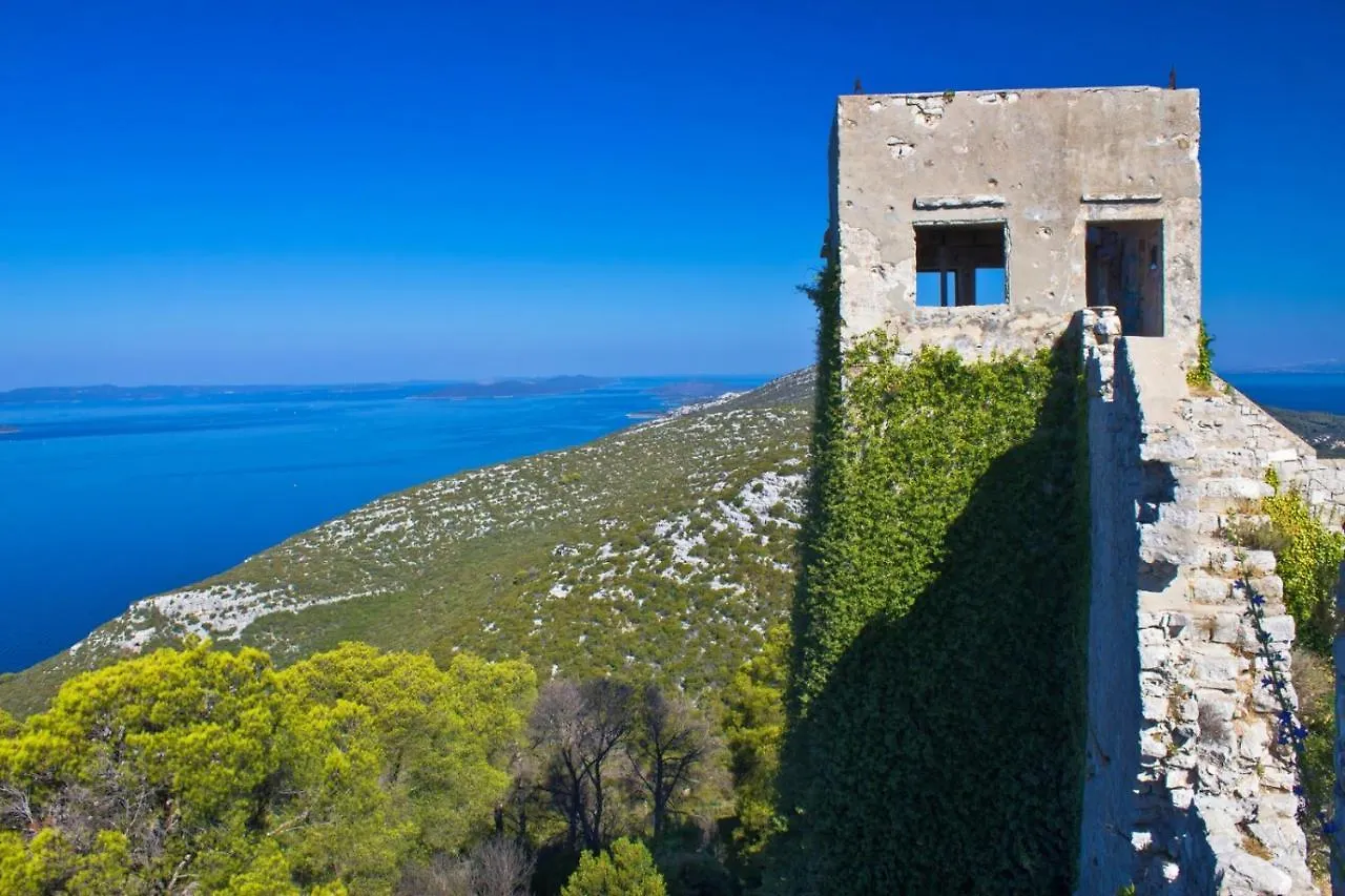 Apartment In Preko With Sea View, Terrace, Air Conditioning, Wi-Fi